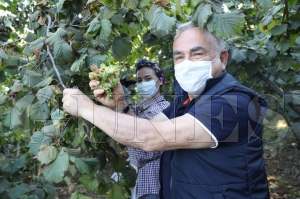 Bakan Glerin TMO zaferi