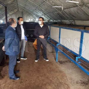 15 Milyon solucan ile gübre yetiştiriyor 15 Milyon solucan ile gübre yetiştiriyor
