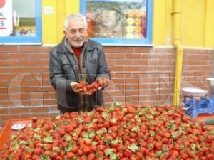 KIRMIZI LEKLER TEZGAHLARDA