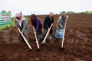 ORDU, TARIM VE HAYVANCILIKTA ITAYI YKSELTT