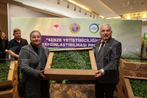 Bykehir desteklerle tevik etti, vatandalar kendi sebzesini retti