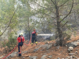 Ordu itfaiyesi yangnlarda canla bala alyor