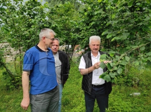 Ulusal Fndk Konseyi, Grcistanda