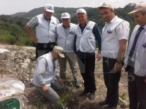 300 ADET AMERKAN CHANDLER CNS BODUR CEVZ FDANI DKM TREN GEREKLET