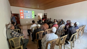 Kahverengi kokarcaya karşı fındık arazilerinde ilaçlı mücadele zamanı Kahverengi kokarcaya karşı fındık arazilerinde ilaçlı mücadele zamanı