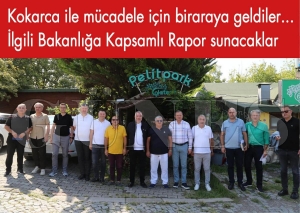 Kokarca ile mcadele iin bir araya geldiler