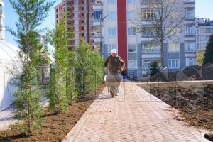 Kapalı yüzme havuzunun çevresi yeşillendiriliyor Kapalı yüzme havuzunun çevresi yeşillendiriliyor