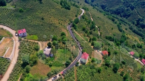 Bykehirle krsaln ulam kalitesi artyor