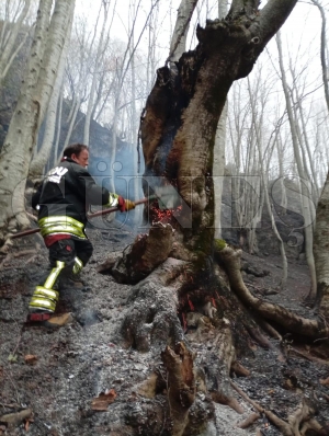 Orduda son bir haftada 40 yangn