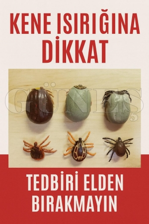 Kenelere dikkat! – Kkka hakkında uyarı Kenelere dikkat! – Kkka hakkında uyarı
