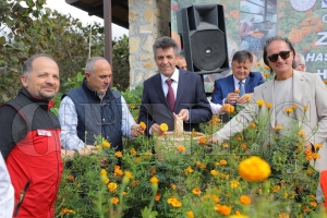 Kabakda�� mahallesi�nde Zaprana hasat etkinli�i