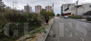 Fatsa belediyesi park ve bahçeler müdürlüğünden yoğun çalışma Fatsa belediyesi park ve bahçeler müdürlüğünden yoğun çalışma