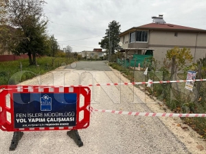 Fatsa�da ula��m sorunlar�na tek tek ne�ter vuruluyor