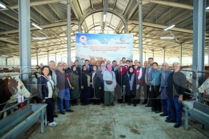 D�nya bankas� destekli projede �ift�ilere gebe simental d�ve deste�i sa�land�