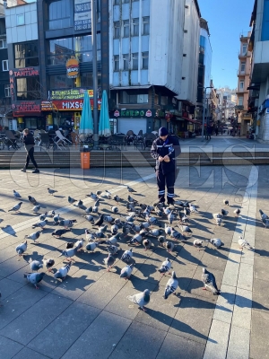 �ok g�zel hareketler bunlar