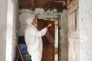 Fatsa�n�n k��laklar�nda kokarca m�cadelesi