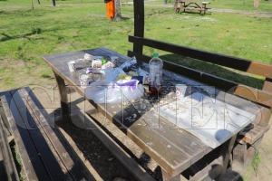 Fatsa�da temizlik seferberli�i: Mesire alanlar� i�in duyarl�l�k �a�r�s�