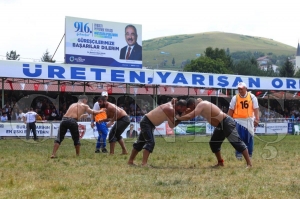 Aybast festivalle  cotu...  Perembe yaylasnda bu yl 916.s dzenlenen Ordulu Mustafa pehlivan  yal gre ve kltr festivaline geen yllara oranla katlm rekoru krld