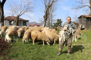 Tarm ve hayvanclkta devrim