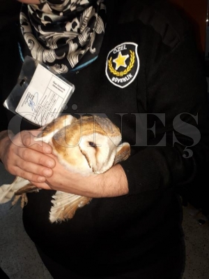 Okulda 'bayku' srprizi