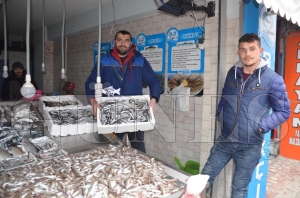 HAMSİ 20 LİRA BALIK FİYATLARI YÜKSELİŞTE HAMSİ 20 LİRA BALIK FİYATLARI YÜKSELİŞTE
