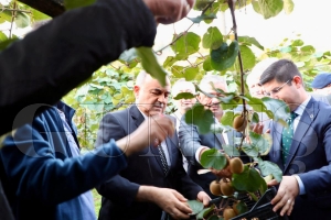 Vali Erol, kivi hasad�na kat�ld�