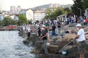 Fatsa Belediyesi dll 3. balk av yarmas bugn balyor