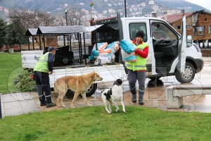 Sokak hayvanlar iin de tedbir alnd