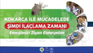 Fatsa Belediye Başkanı Etem Kibar; Fındık hasadına sayılı günler kala kokarca ile mücadele önemli Fatsa Belediye Başkanı Etem Kibar; Fındık hasadına sayılı günler kala kokarca ile mücadele önemli