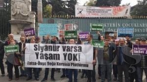 SYANR VARSA FINDIK MINDIK YOK