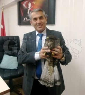 YARALI DOANA MDR SAHP IKTI