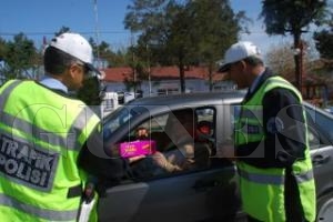 SRCLERE KARANFL VE KOLATA KRAM ETTLER