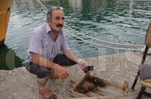 MDYE BALIKILARIN EK GELR OLDU