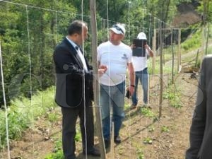 FECKD 1500 Kk  Karpuz Dikimini Yapt