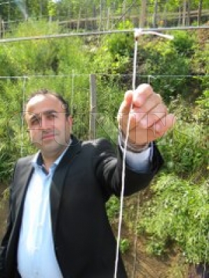 Uur Bcekleri Doay Koruyor