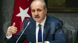 PARALELİN KILCAL DAMARINA GİRİLECEK PARALELİN KILCAL DAMARINA GİRİLECEK