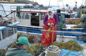 Balklarn en byk yardmcs eleri