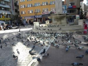 Kuşlar Soğuktan Etkilendi Kuşlar Soğuktan Etkilendi