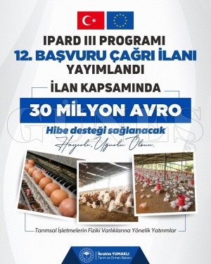 TKDK On �kinci Ba�vuru �a�r� �lan�na ��kt�