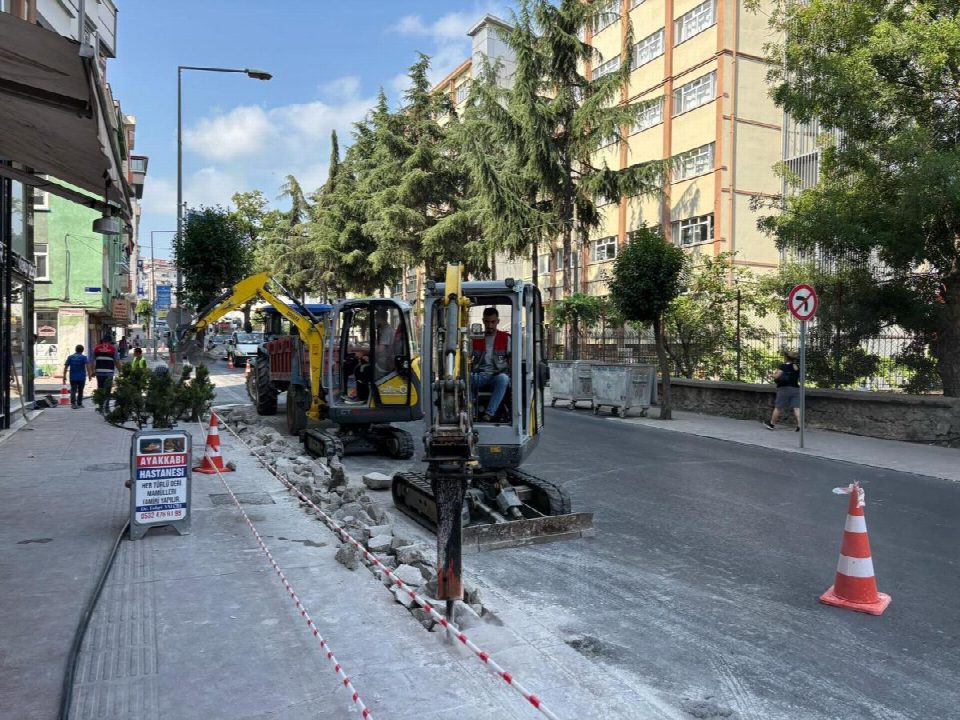 İbn-i Sina caddesi ışıl ışıl olacak