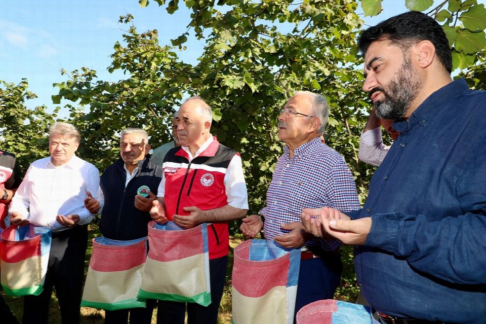 Vali Erol, fındık hasat programına katıldı