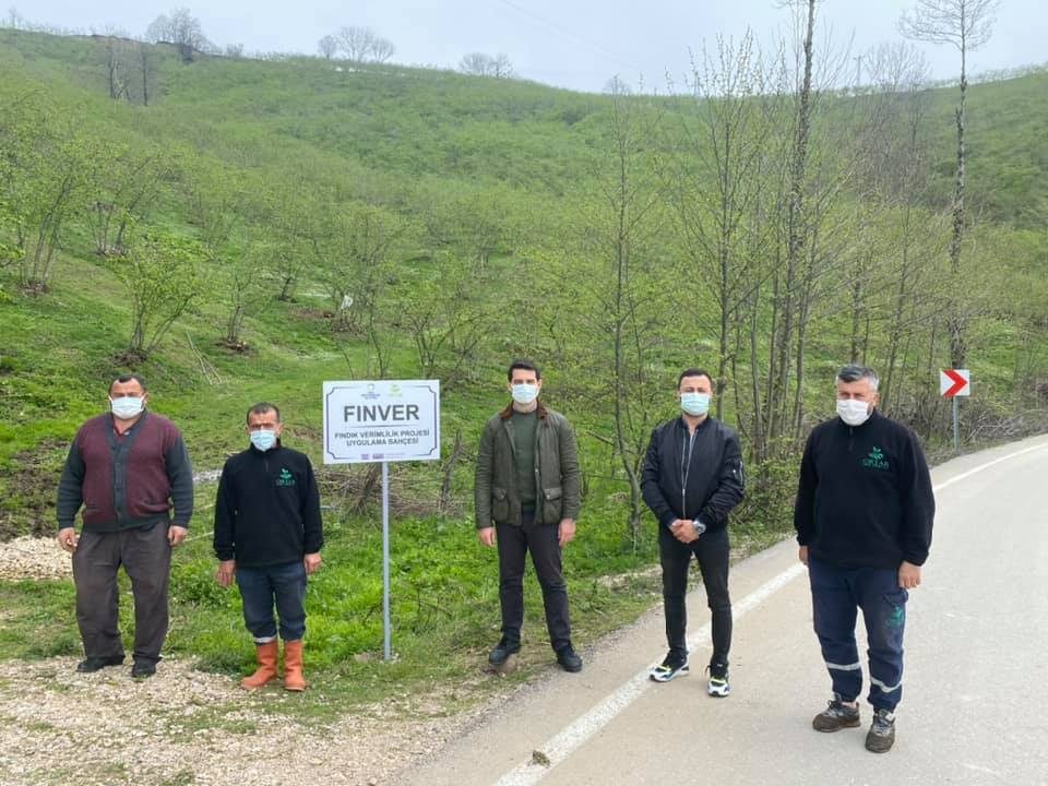 Fındık verimliliği projesi tam gaz devam ediyor