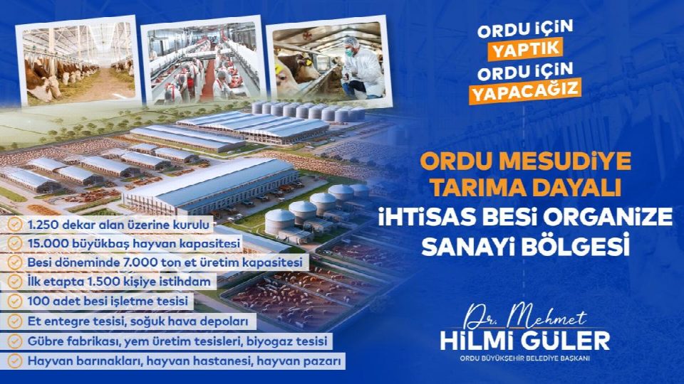 Karadeniz’in ve Ordu’nun kaderini değiştirecek mega proje
