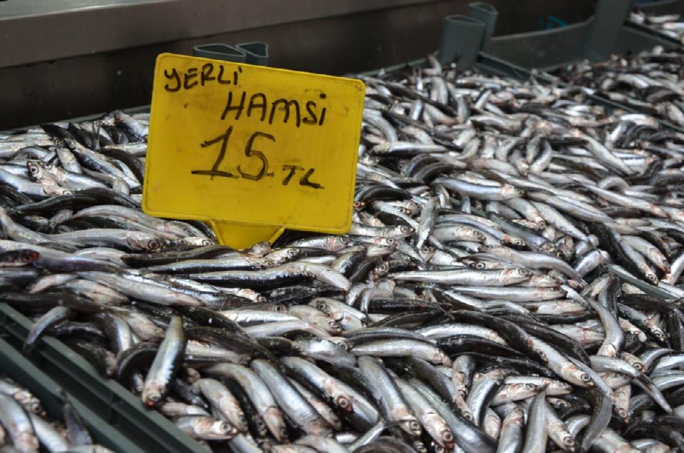 Yerli hamsi Fatsa’da tezgâhta ki yerini aldı