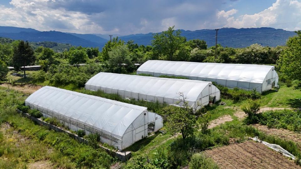 Büyükşehirin desteği ile seracılık büyüyor