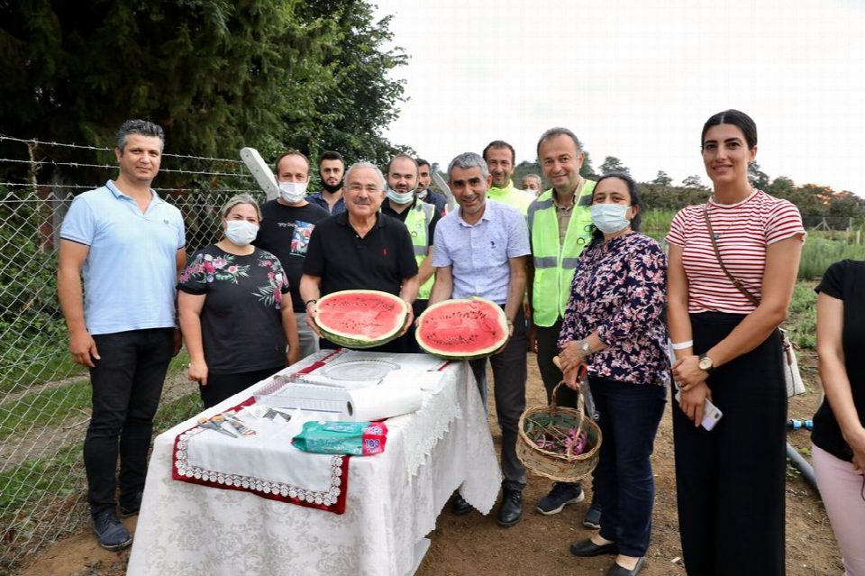 Tıbbi ve aromatik bitkilerin hasadı yapıldı