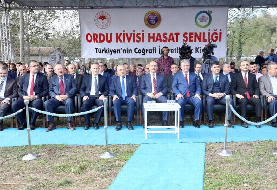 KİVİ ÜRETİCİLERİ HASAT ŞENLİĞİNDE