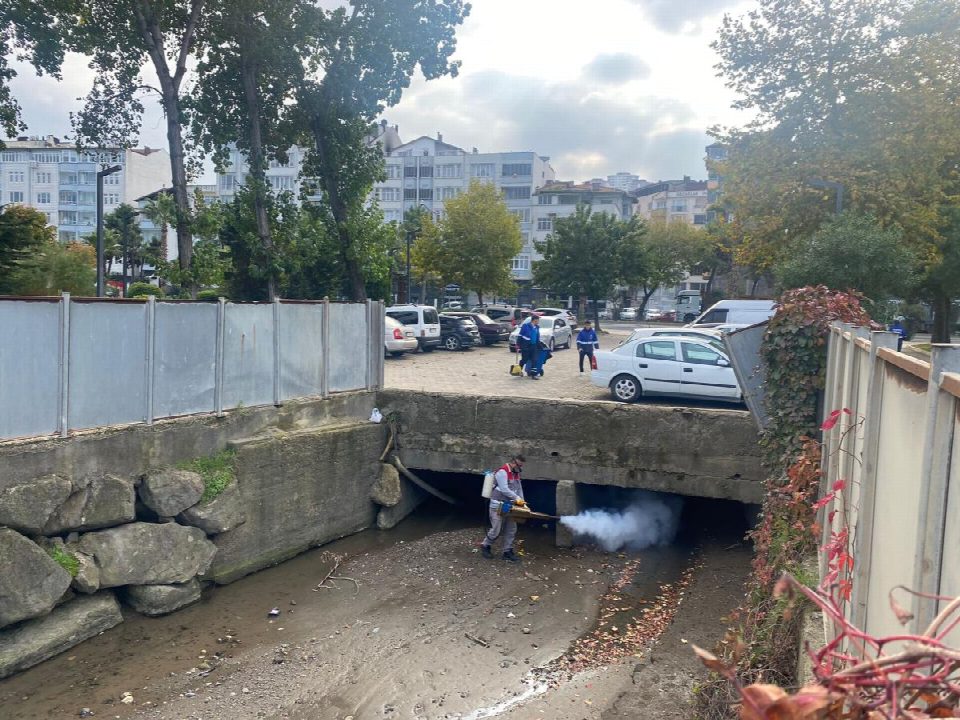Sahil Kayalıklarından 27 poşet insanı atık çıktı