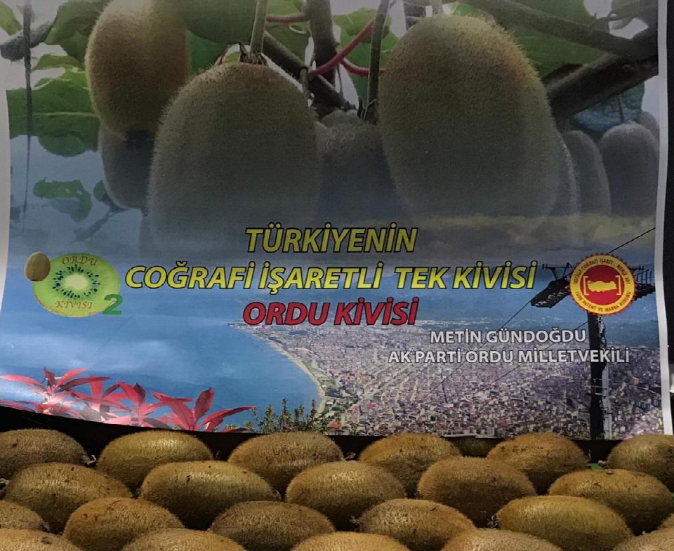 Ordu’muzun “Coğrafi işaretli kivisi” Meclis’de!