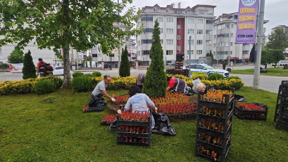 Ordu’nun dört bir yanı çiçek bahçesi oldu